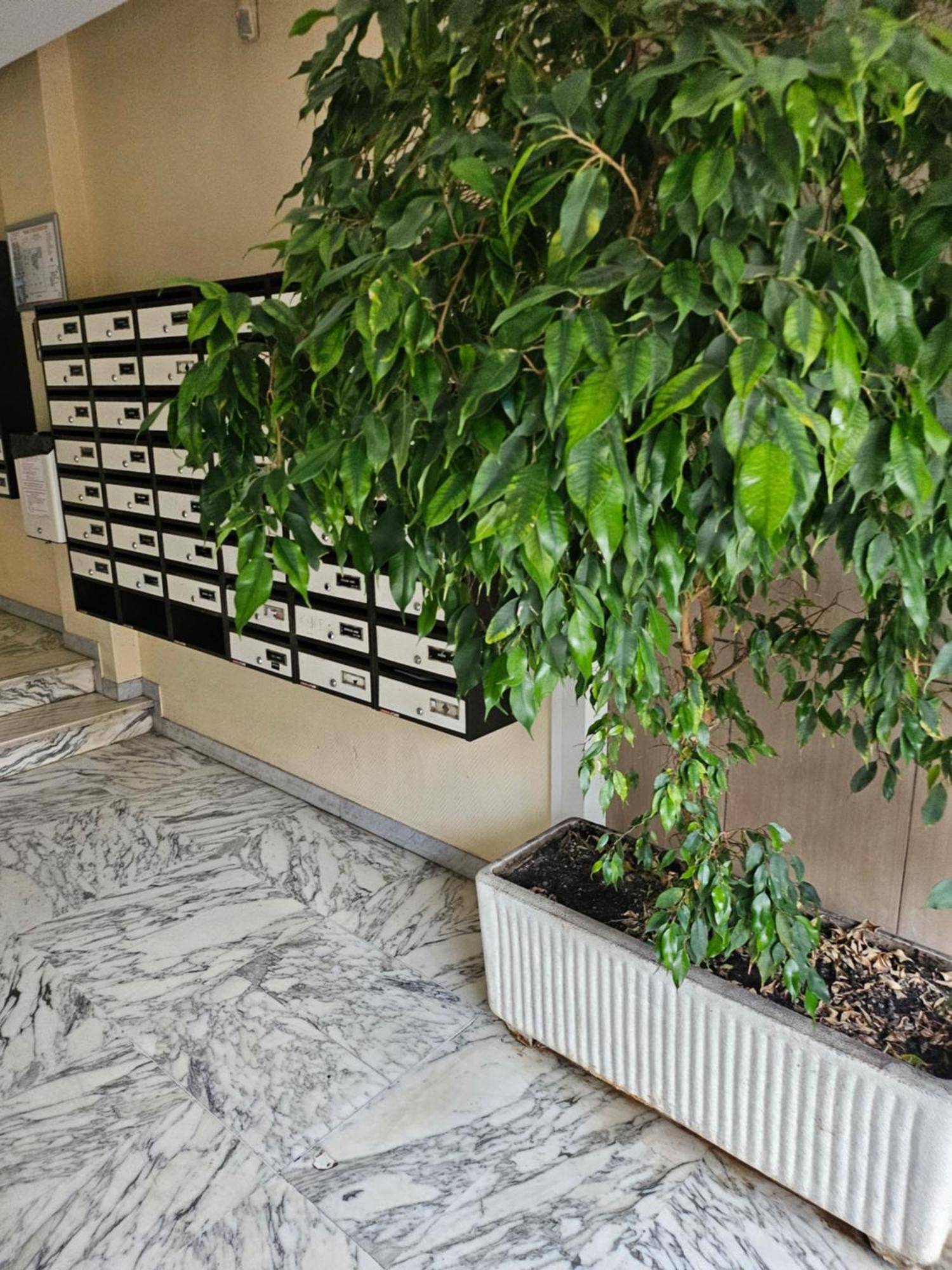 Appartement Ouest *